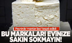 O markaların peynirlerini sakın evinize sokmayın!