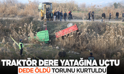 Dere yatağına uçan traktördeki dede can verdi: Torun yara almadan kurtuldu!