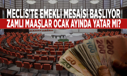 Meclis'te emekli mesaisi başlıyor: Zamlı maaşlar ocakta yatacak mı?