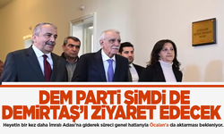 DEM Parti heyeti, Demirtaş'la görüşecek!