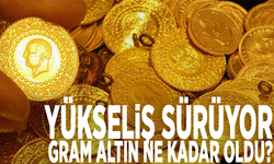 Yükseliş sürüyor: Gram altın ne kadar oldu?