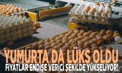 Yumurta da lüks oldu: Fiyatlar endişe verici şekilde yükseliyor!