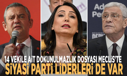 14 vekile ait dokunulmazlık dosyası Meclis'te: Siyasi parti liderleri de var