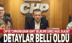 CHP'de 'cumhurbaşkanı adayı' nasıl belirlenecek? İşte detaylar