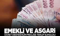 Emekli maaşı ve asgari ücret desteği teklifi TBMM'ye sunuldu