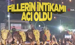 Hindistan’daki festivalde insanlara fil saldırdı: 17 yaralı