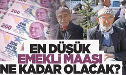 En düşük emekli maaşı ne kadar olacak!