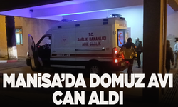 Manisa'da domuz avı can aldı