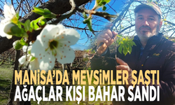 Manisa’da mevsimler şaştı: Ağaçlar kışı bahar sandı!