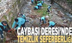 Çaybaşı Deresi’nde temizlik seferberliği