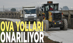 Yunusemre'de ova yolları onarılıyor