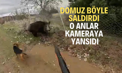 Manisa’da domuzun avcıya saldırdığı anlar kameraya yansıdı