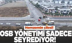 Hemzemin çilesi! OSB yönetimi sadece seyrediyor