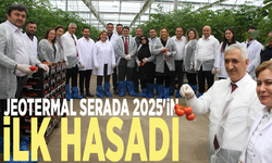 Jeotermal serada 2025'in ilk hasadı