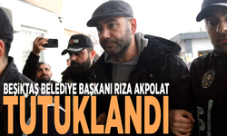 Beşiktaş Belediye Başkanı Rıza Akpolat tutuklandı