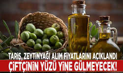 TARİŞ zeytinyağı alım fiyatlarını açıklandı: Çiftçinin yüzü yine gülmeyecek!