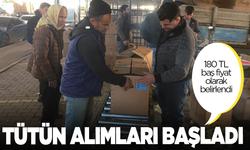 Sarıgöl’de tütün alımlarına başlandı