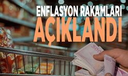 Kritik enflasyon rakamları açıklandı