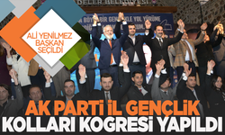 AK Parti Manisa İl Gençlik Kolları başkanı Ali Yenilmez oldu