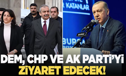 DEM Parti, AK Parti ve CHP'yi ziyaret edecek