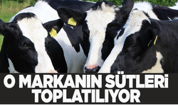 O markanın sütleri toplatılıyor