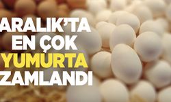 Aralık’ta en çok yumurta pahalandı