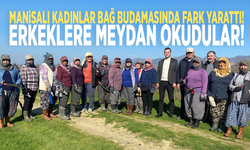 Manisalı kadınlar bağ budama işinde erkekleri geride bıraktı