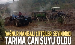 Yağmur Manisalı çiftçileri sevindirdi, tarıma can suyu oldu