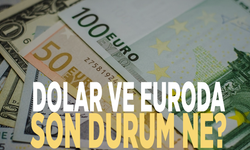 Dolar ve euroda son durum ne?