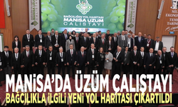 Manisa’da Üzüm Çalıştayı: Bağcılıkla ilgili yeni yol haritası çıkartıldı