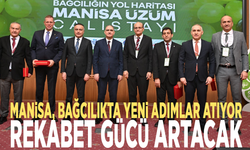 Manisa, bağcılıkta yeni adımlar atıyor: Rekabet gücü artacak