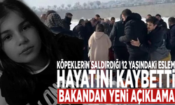 Köpeklerin saldırdığı 12 yaşındaki Eslem hayatını kaybetti... Bakandan yeni açıklama