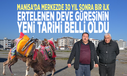 Manisa’da merkezde 30 yıl sonra bir ilk: Ertelenen deve güreşinin yeni tarihi belli oldu
