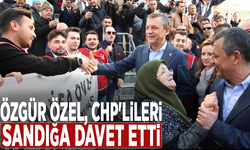 Özgür Özel, CHP'lileri sandığa davet etti