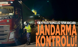 Yük ve yolcu taşımacılığı yapan araçlara jandarma kontrolü!