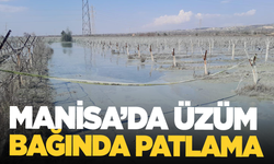 Manisa'da üzüm bağında patlama!