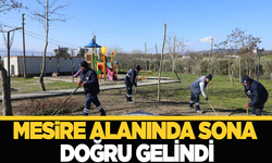 Üçpınar'ın mesire alanında son rötuşlar