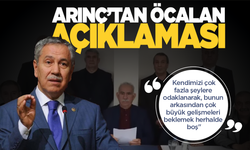 Bülent Arınç'tan Öcalan'ın çağrısı sonrası çarpıcı açıklamalar