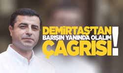 Demirtaş'tan açıklama: Elimden geleni yapacağım