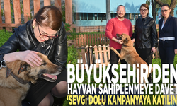 Büyükşehir'den hayvan sahiplenmeye davet : Sevgi dolu kampanyaya katılın