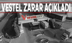 Vestel zarar açıkladı