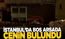 İstanbul'da boş arsada cenin bulundu