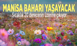 Manisa baharı yaşayacak: Sıcaklık 20 derecenin üzerine çıkıyor