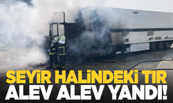 Seyir halindeyken alev alan tır küle döndü