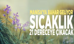 Manisa’ya bahar geliyor: Sıcaklık 21 dereceye çıkacak