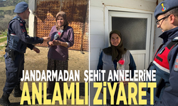 Jandarmadan şehit annelerine anlamlı ziyaret