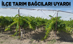 Bağcıların dikkatine: İlçe Tarım Müdürlüğü o ilaca karşı uyardı! Cezası var!