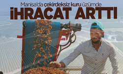 Manisa ihracatta büyük gelir elde etti