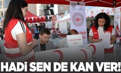 Haydi Manisa sen de kan var!