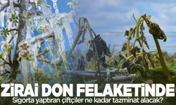 Sigortası olan çiftçi ne kadar ödeme alacak? İşte detaylar...